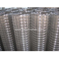 stainless steel welded wire mesh